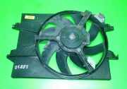 Lüfter FORD FIESTA V (JH_, JD_) 1.4 16V 1495675