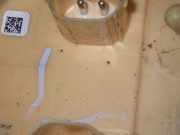 Kraftstoffpumpe BMW X1 (E84) sDrive 18 d 36510901