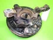 Achsschenkel hinten links LAND ROVER FREELANDER Soft Top (LN_) 2.0 DI 4x4