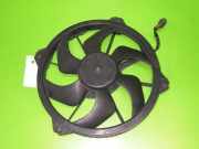 Lüfter CITROEN C4 Grand Picasso I (UA_) 1.6 HDi 1253L4