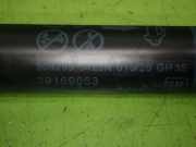 Gasdruckfeder Dämpfer hinten links OPEL INSIGNIA B Grand Sport (Z18) 1.5 (68) 39169063