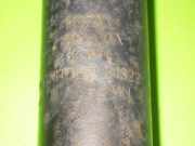 Stoßdämpfer hinten links NISSAN (DATSUN) NV200 EVALIA 1.5 dci E6210BJ00A