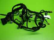 Kabelstrang Kabelbaum ALFA ROMEO STELVIO (949_) 2.0 Q4 50561126