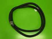 Türgummi Türdichtung hinten links SEAT LEON (1P1) 1.9 TDI