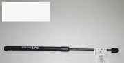 Gasdruckfeder Dämpfer hinten rechts HYUNDAI i10 (PA) 1.1 81770-0X001