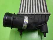 Ladeluftkühler CITROEN C8 (EA_, EB_) 2.0 HDi 135 530048