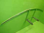 Dachzierleiste links TESLA MODEL 3 (5YJ3) EV AWD 108351900C