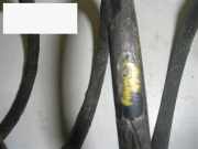 Feder vorne links VW POLO (86C, 80) 1.0