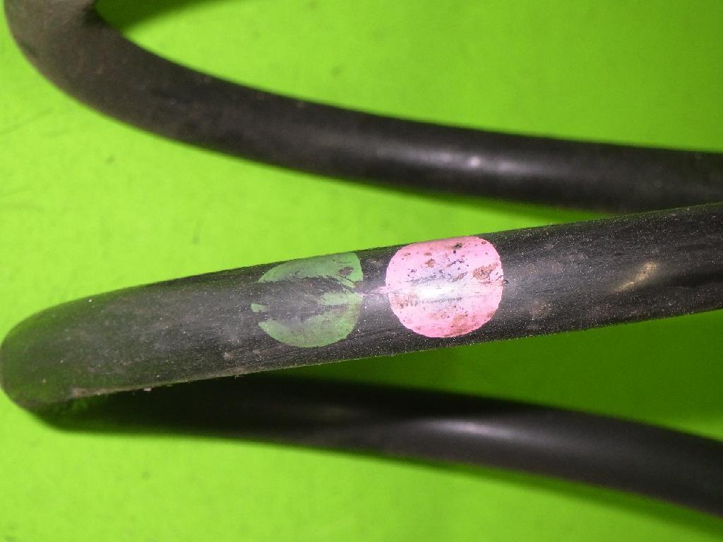 Feder vorne rechts VW BORA Kombi (1J6) 1.9 TDI 1J0411105BH Bild Feder vorne rechts VW BORA Kombi (1J6) 1.9 TDI 1J0411105BH