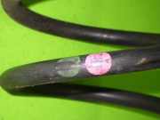 Feder vorne rechts VW BORA Kombi (1J6) 1.9 TDI 1J0411105BH