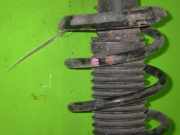Federbein vorne rechts AUDI (NSU) A3 Sportback (8PA) 2.0 TDI 824904000569