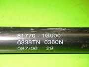 Gasdruckfeder Dämpfer hinten links KIA RIO II (JB) 1.5 CRDi 817701G000