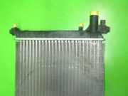 Wasserkühler FORD FIESTA IV (JA_, JB_) 1.25 i 16V 1098807