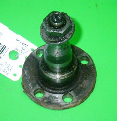 Achszapfen hinten rechts VW GOLF II (19E, 1G1) 1.6 Bild Achszapfen hinten rechts VW GOLF II (19E, 1G1) 1.6