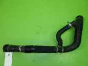 K?hlerschlauch unten ALFA ROMEO STELVIO (949_) 2.0 Q4 50551344