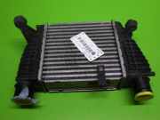 Ladeluftkühler NISSAN (DATSUN) NV200 EVALIA 1.5 dci 14461EM00A