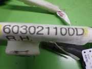 Kopfairbag Dachairbag rechts NISSAN (DATSUN) NAVARA (D40) 2.5 dCi 4WD 603021100D