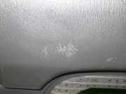 Türverkleidung hinten rechts NISSAN (DATSUN) PICK UP (D22) 2.5 Di 4WD 829002S700