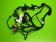 Kabelstrang Kabelbaum T?r vorne links JAGUAR XF (_J05_, CC9) 2.2 D DX23-14B121-BA