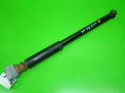 Stoßdämpfer hinten rechts FORD FIESTA VI 1.25 1721237