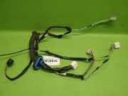 Kabelstrang Kabelbaum Tür hinten links FIAT SEDICI 1.6 16V 4x4 6375179JC1
