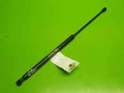 Gasdruckfeder Dämpfer vorne rechts CITROEN C5 II Break (RE_) 2.0 HDi (RERHRH) 9628059280