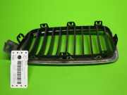 Kühlergrill vorne rechts BMW 3 (F30, F35, F80) 318 d xDrive 51137255412