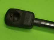 Gasdruckfeder Dämpfer vorne VOLVO V50 (MW) 1.6 D2 31218478