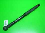 Stoßdämpfer hinten links DACIA SANDERO 1.2 16V 8200953294