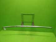 Dachreling rechts AUDI (NSU) A6 Avant (4F5, C6) 2.7 TDI 4F9860022J2ZZ