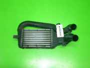 Ladeluftkühler OPEL ZAFIRA A (F75_) 2.2 DTI 16V 57965