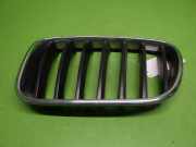 Kühlergrill vorne links BMW X3 (F25) xDrive 20 d 51117237421