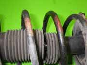 Federbein vorne rechts NISSAN (DATSUN) PRIMERA Traveller (WP12) 1.8