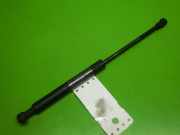 Gasdruckfeder Dämpfer vorne rechts BMW 5 (E39) 530 d 51238174866