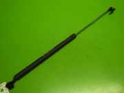 Gasdruckfeder Dämpfer hinten rechts HONDA CIVIC VI Hatchback (EJ, EK) 1.4 i (EJ9) 04741S03901