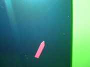 Motorhaube SEAT CORDOBA Vario (6K5) 1.6 i 6KO823031D