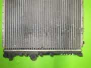 Wasserkühler RENAULT 19 I Chamade (L53_) 1.7 (L53B)