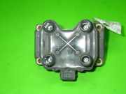 Zündspule FIAT PUNTO (188_) 1.2 16V 80 (188.233, .235, .253, .255, .333, .353, .639,... 0221503407