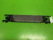 Ladeluftkühler OPEL CORSA D 1.3 CDTI 6302078