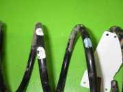 Feder hinten links DAIHATSU SIRION (M3_) 1.3