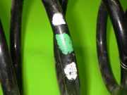 Feder hinten links FIAT PUNTO (188_) 1.2 60 (188.030, .050, .130, .150, .230, .250)