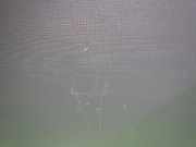 Türverkleidung rechts TOYOTA AYGO (_B1_) 1.0 (KGB10_) 676110H020