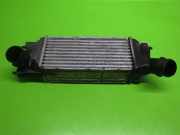 Ladeluftkühler CITROEN C5 II Break (RE_) 2.0 HDi (RERHRH) 9645662880