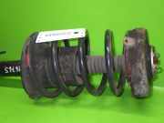 Federbein vorne rechts RENAULT MEGANE I (BA0/1_) 1.9 D Eco (B/SA0U, BA0A)