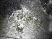 Lenkgetriebe FIAT DUCATO Kasten (244) 2.8 JTD