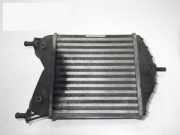 Ladeluftkühler FIAT IDEA 1.3 JTD