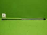 Gasdruckfeder Dämpfer hinten links VW NEW BEETLE (9C1, 1C1) 1.9 TDI 1C0827550C