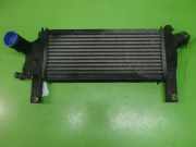Ladeluftkühler NISSAN (DATSUN) NAVARA (D40) 2.5 dCi 4WD 14461-EB360