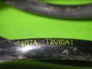 Feder hinten rechts RENAULT CLIO II (BB_, CB_) 1.9 dTi (B/CB0U) 8200193022