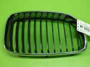 Kühlergrill vorne rechts BMW 1 Cabriolet (E88) 120 d 51137166440